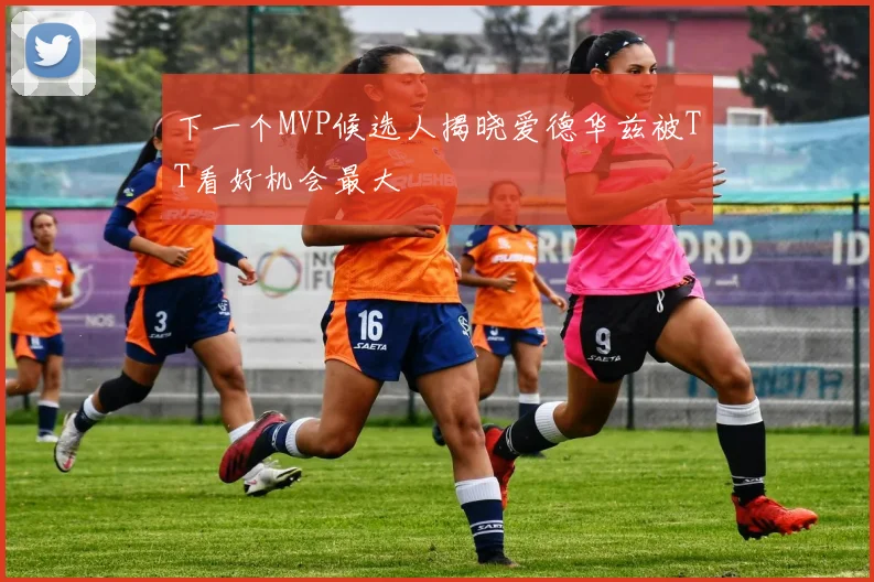 下一个MVP候选人揭晓爱德华兹被TT看好机会最大