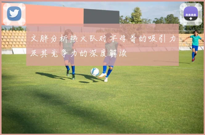 文胖分析热火队对字母哥的吸引力及其竞争力的深度解读